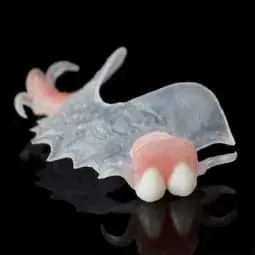 VisiClear Partial Dentures - Dentist Directed - Impression Kit Included - Image 6